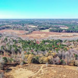 Photo #31 of 28094 Clarksbury Road, Boykins, Virginia 1,036.0 acres