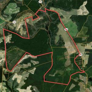 Photo #3 of 28094 Clarksbury Road, Boykins, Virginia 1,036.0 acres