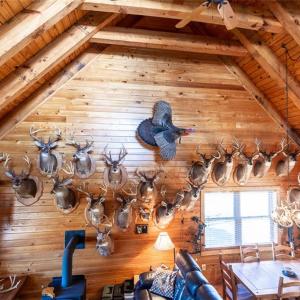 Photo #23 of 28094 Clarksbury Road, Boykins, Virginia 1,036.0 acres