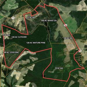 Photo #32 of 28094 Clarksbury Road, Boykins, Virginia 1,036.0 acres