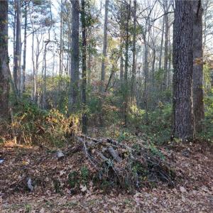 Photo #1 of 2701 Seven Eleven Road, Chesapeake, Virginia 1.4 acres