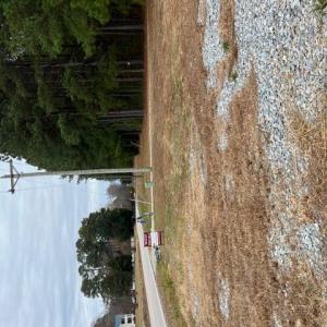 Photo #3 of 5 ac Ivor Road, Ivor, Virginia 5.0 acres