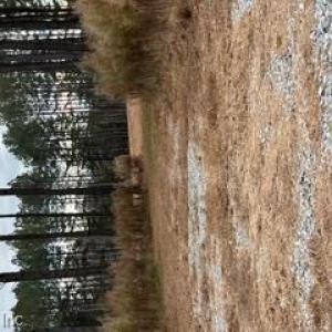 Photo #5 of 5 ac Ivor Road, Ivor, Virginia 5.0 acres