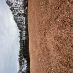 Photo #8 of 5 ac Ivor Road, Ivor, Virginia 5.0 acres