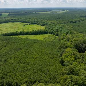 Photo #2 of 104 AC St Lukes Road, Sedley, Virginia 104.0 acres