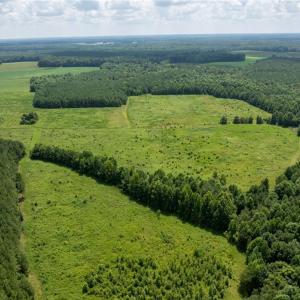 Photo #5 of 104 AC St Lukes Road, Sedley, Virginia 104.0 acres