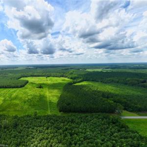 Photo #8 of 104 AC St Lukes Road, Sedley, Virginia 104.0 acres