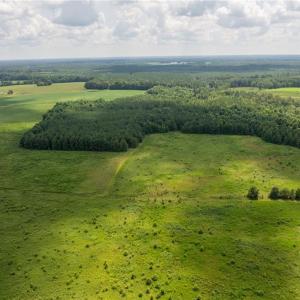 Photo #11 of 104 AC St Lukes Road, Sedley, Virginia 104.0 acres