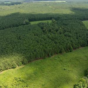 Photo #12 of 104 AC St Lukes Road, Sedley, Virginia 104.0 acres