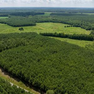 Photo #13 of 104 AC St Lukes Road, Sedley, Virginia 104.0 acres