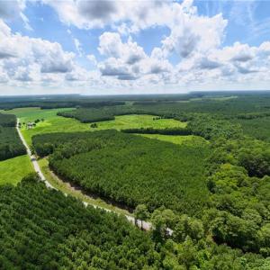 Photo #3 of 104 AC St Lukes Road, Sedley, Virginia 104.0 acres