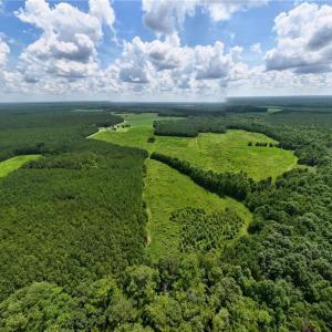 Photo #4 of 104 AC St Lukes Road, Sedley, Virginia 104.0 acres