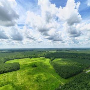 Photo #9 of 104 AC St Lukes Road, Sedley, Virginia 104.0 acres