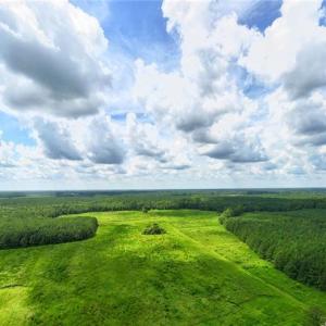 Photo #10 of 104 AC St Lukes Road, Sedley, Virginia 104.0 acres