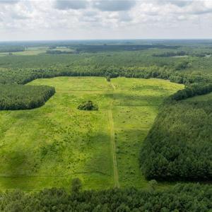 Photo #7 of 104 AC St Lukes Road, Sedley, Virginia 104.0 acres