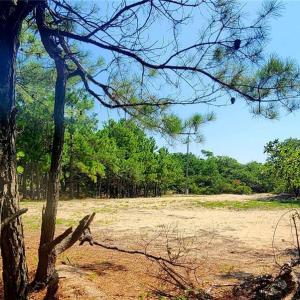 Photo #7 of 2356 Carova Road, Corolla, North Carolina