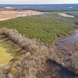 Photo #13 of 124 AC CRUMPLER Road, Ivor, Virginia 124.1 acres