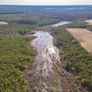 Photo #14 of 124 AC CRUMPLER Road, Ivor, Virginia 124.1 acres