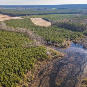 Photo #15 of 124 AC CRUMPLER Road, Ivor, Virginia 124.1 acres