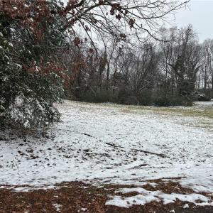 Photo #8 of 4 lots 1st Street, Mineral, Virginia 0.7 acres