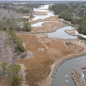 Photo #3 of Lot 11 Featherbed Lane, Gloucester, Virginia 11.3 acres