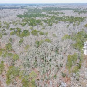 Photo #5 of Lot 11 Featherbed Lane, Gloucester, Virginia 11.3 acres