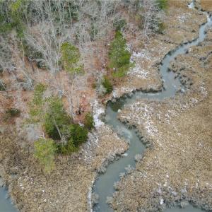 Photo #6 of Lot 11 Featherbed Lane, Gloucester, Virginia 11.3 acres