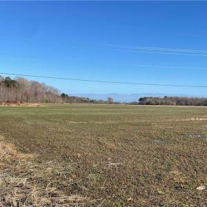 Photo #5 of 392 Princess Anne Road, Virginia Beach, Virginia 24.9 acres