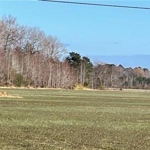 Photo #7 of 392 Princess Anne Road, Virginia Beach, Virginia 24.9 acres