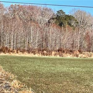 Photo #8 of 392 Princess Anne Road, Virginia Beach, Virginia 24.9 acres