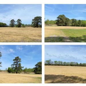 Photo #3 of 3000 North Landing Road, Virginia Beach, Virginia 56.7 acres