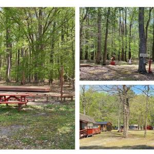 Photo #5 of 3000 North Landing Road, Virginia Beach, Virginia 56.7 acres