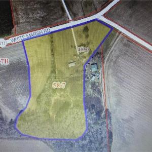 Photo #4 of 4050 White Marsh Road, Wakefield, Virginia 8.9 acres