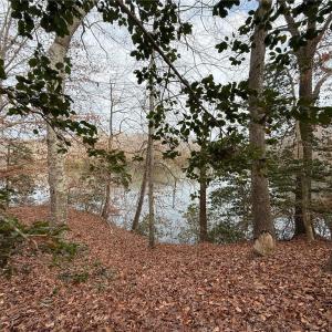 Photo #1 of 5.46AC Haynes Pond Way, Gloucester, Virginia 5.5 acres