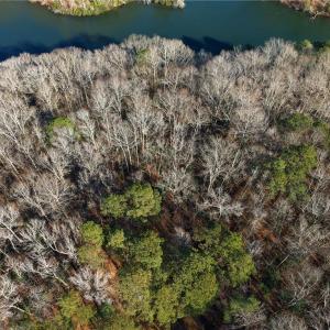 Photo #12 of 5.46AC Haynes Pond Way, Gloucester, Virginia 5.5 acres