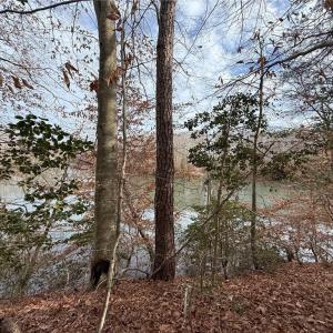 Photo #3 of 5.46AC Haynes Pond Way, Gloucester, Virginia 5.5 acres
