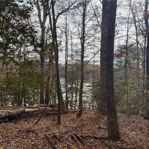 Photo #4 of 5.46AC Haynes Pond Way, Gloucester, Virginia 5.5 acres