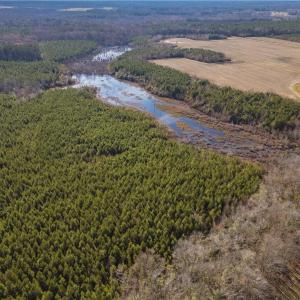 Photo #12 of 134+AC CRUMPLER Road, Ivor, Virginia 134.8 acres