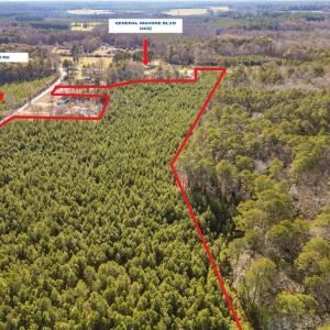 Photo #3 of 134+AC CRUMPLER Road, Ivor, Virginia 134.8 acres