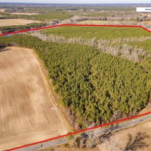 Photo #4 of 134+AC CRUMPLER Road, Ivor, Virginia 134.8 acres