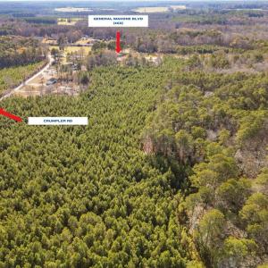 Photo #6 of 134+AC CRUMPLER Road, Ivor, Virginia 134.8 acres