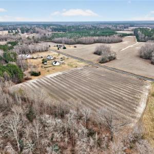 Photo #4 of 6932 Corinth Chapel Road, Suffolk, Virginia 116.9 acres