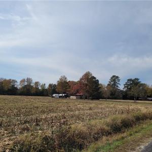 Photo #14 of 9378 Robins Neck Road, Gloucester, Virginia 9.8 acres