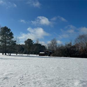 Photo #17 of 9378 Robins Neck Road, Gloucester, Virginia 9.8 acres