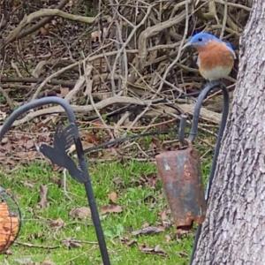 Photo #19 of 9378 Robins Neck Road, Gloucester, Virginia 9.8 acres