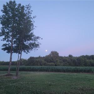 Photo #16 of 9378 Robins Neck Road, Gloucester, Virginia 9.8 acres