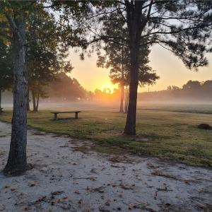 Photo #3 of 9378 Robins Neck Road, Gloucester, Virginia 9.8 acres