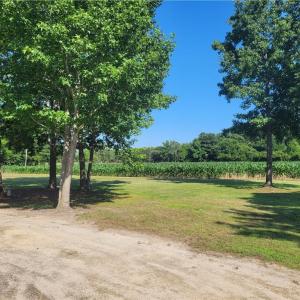 Photo #6 of 9378 Robins Neck Road, Gloucester, Virginia 9.8 acres