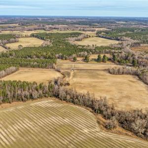 Photo #12 of 8189 Windsor Boulevard, Zuni, Virginia 86.7 acres