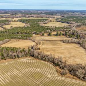 Photo #11 of 8189 Windsor Boulevard, Zuni, Virginia 86.7 acres